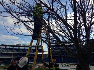 Workers get Nationals Park ready for the Winter Classic. (WTOP/Megan Cloherty)