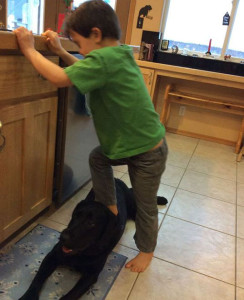 Picture of Sarah Palin's son Trig stepping on dog sparks controversy. (Facebook)