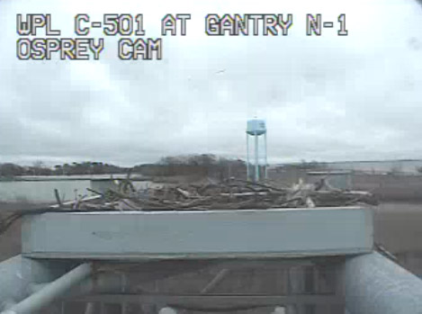 Osprey are building a nest on a camera pole at the Chesapeake Bay Bridge for the second year in a row. The Maryland Transportation Authority will point the traffic camera at the nest from noon to 12:15 Monday through Thursday. (Maryland Transportation Authority)