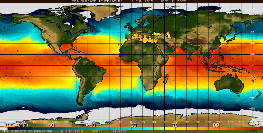Sea surface temperature in the Equatorial Pacific Ocean as of June 10, 2015. (NOAA) 