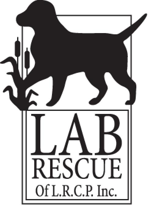 LAB-LOGO1