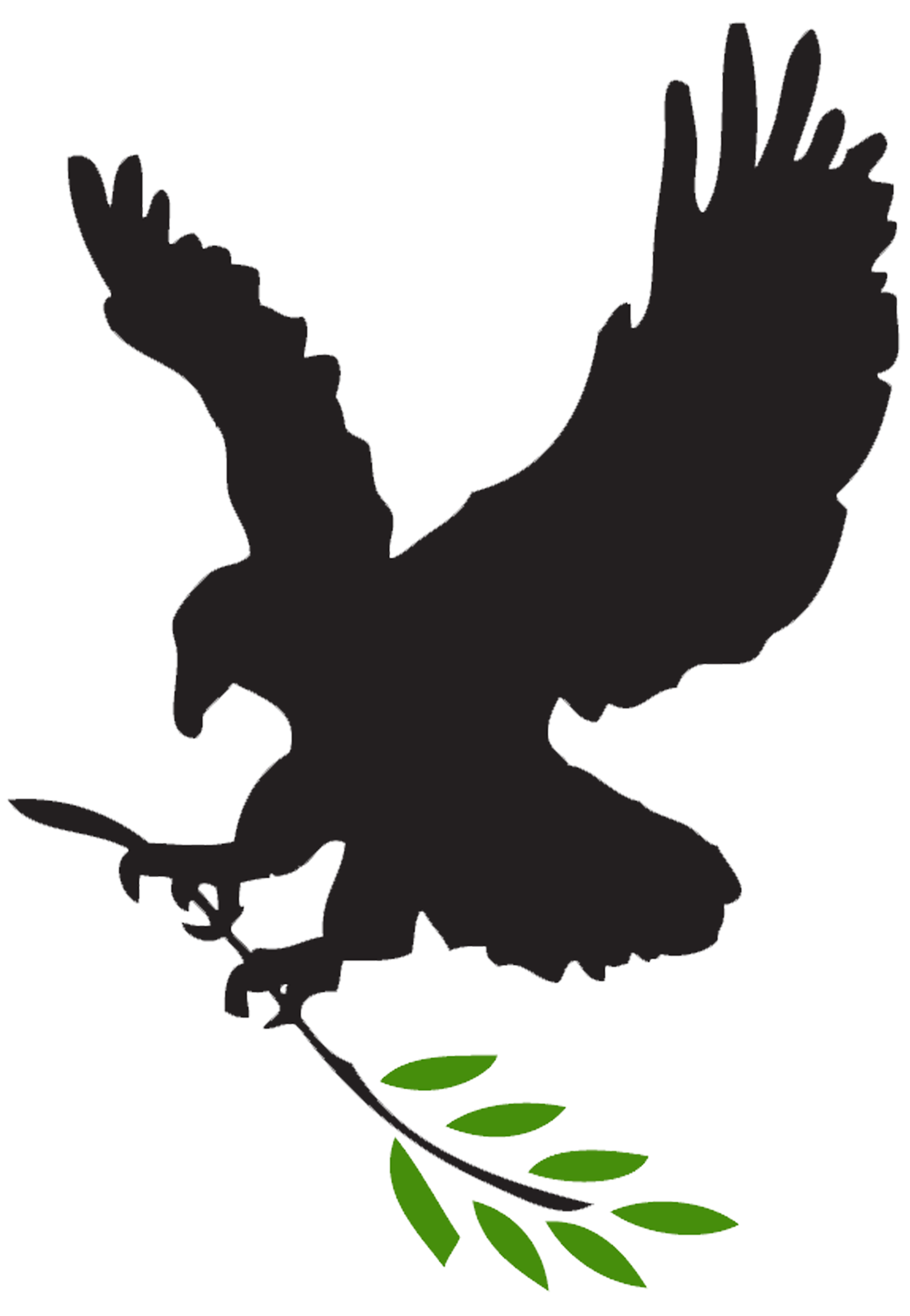 eagle_jude2_logo-copy