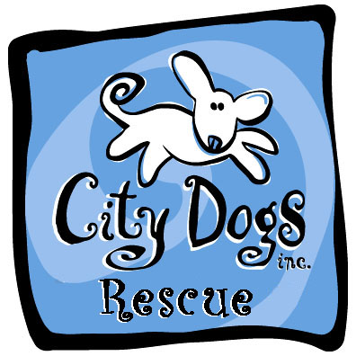 CD-Rescue-Logo