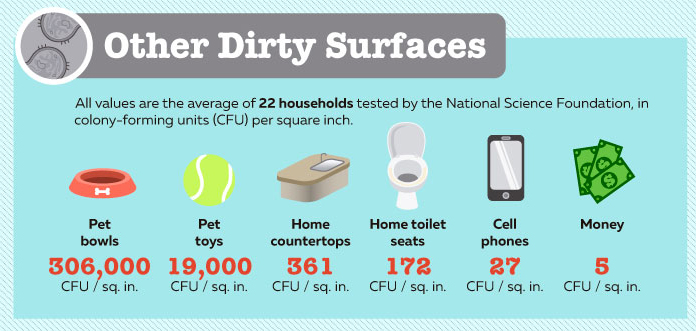 A study of how dirty airplanes are put the bacteria in perspective with other household items. (Courtesy Travelmath)
