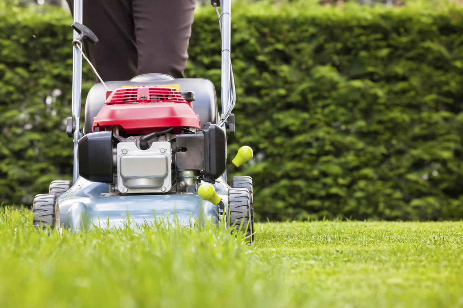 Resolve to maintain a healthy lawn in 2016 | WTOP