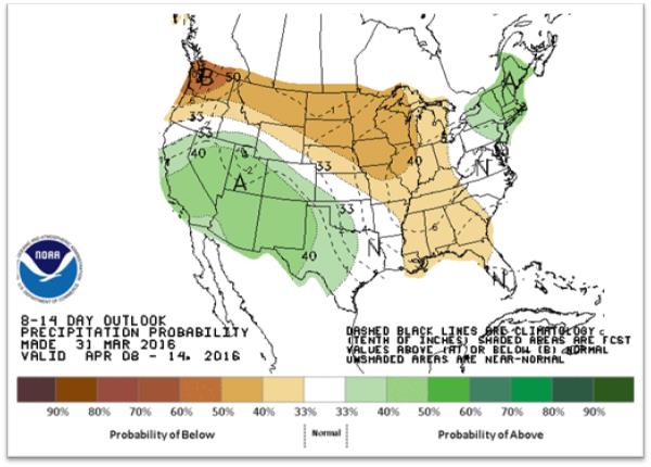 The 8- to 14-day precipitation outlook as of March 31, 2016. (Climate Prediction Center/NOAA)