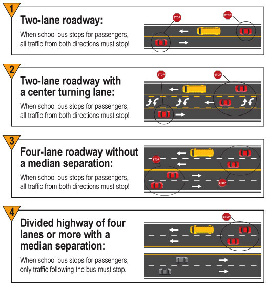 The rules of the road when a school bus stops. (Courtesy of Fairfax County Public Schools)