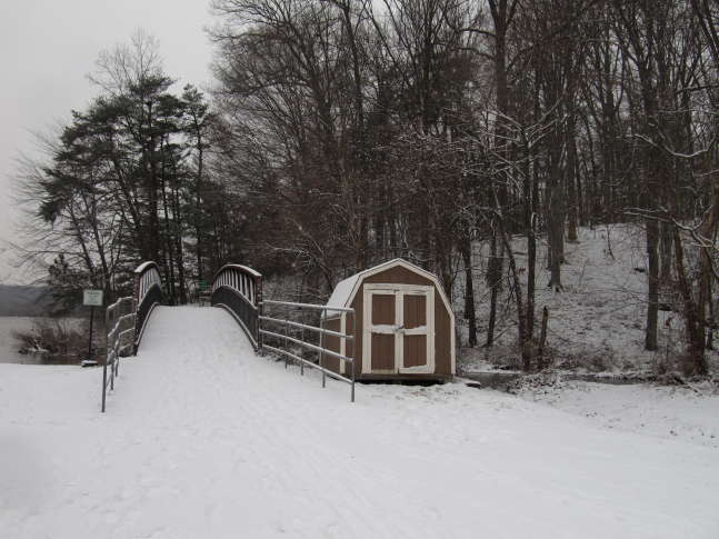 Image result for snow in washington dc . virginia, maryland jan 7 2017