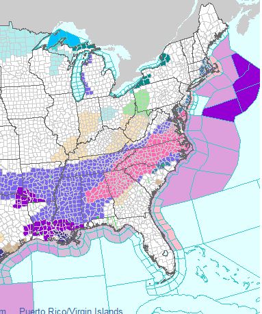 Winter Storm Warnings, shown in pink, and Winter Weather Advisories, shown in purple, are blanketed across the southeastern United States. (Storm Team 4/Ricketts, Lauryn)