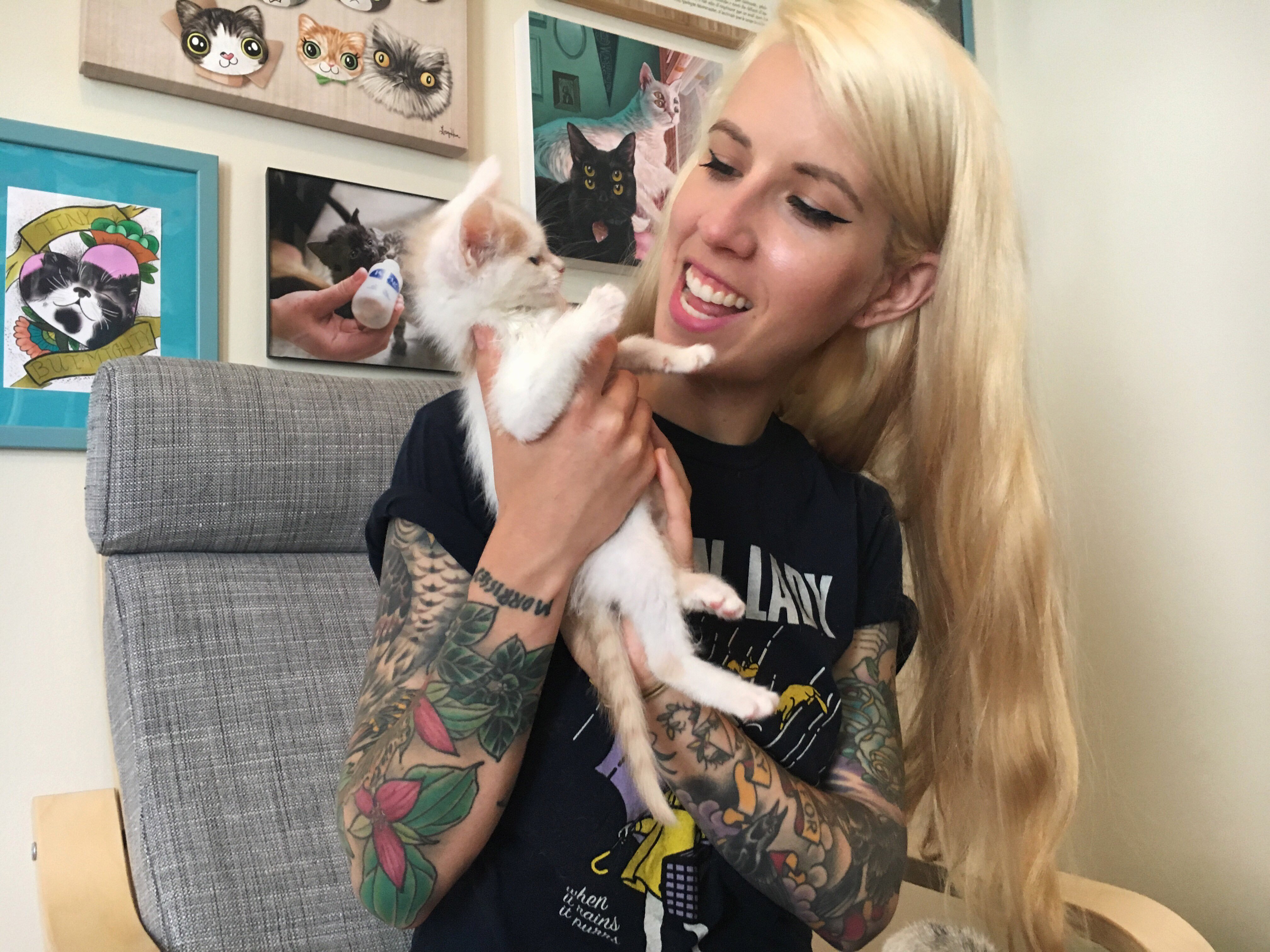 Md Woman Takes Care Of The Littlest Kittens Wtop 