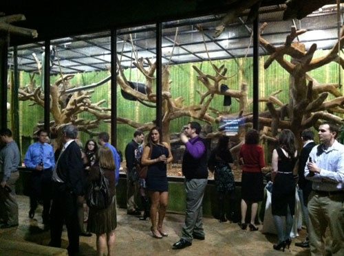 Couples learn about jungle love at ‘Sex at the Zoo’