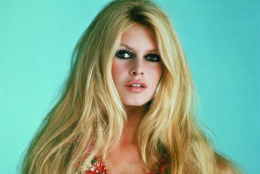 bardot500.jpg