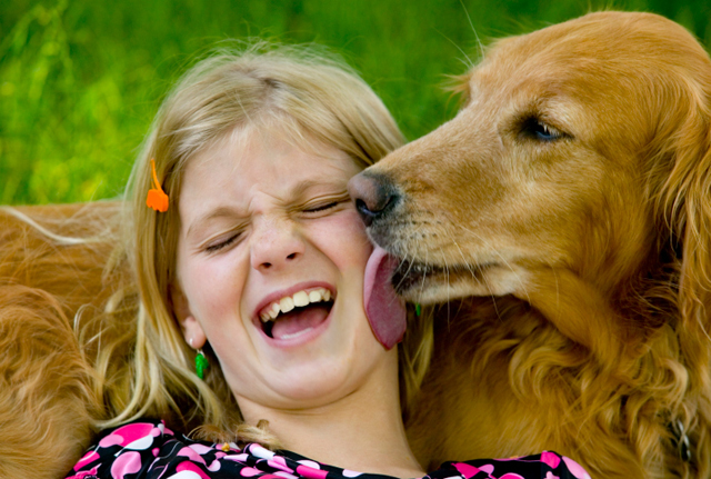 Should you let your dog kiss you?