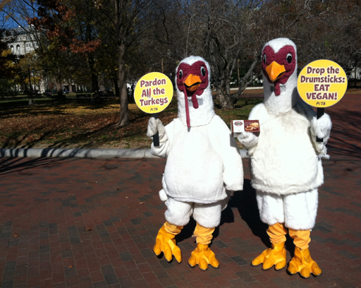 PETA: Spare a turkey, eat vegan this Thanksgiving