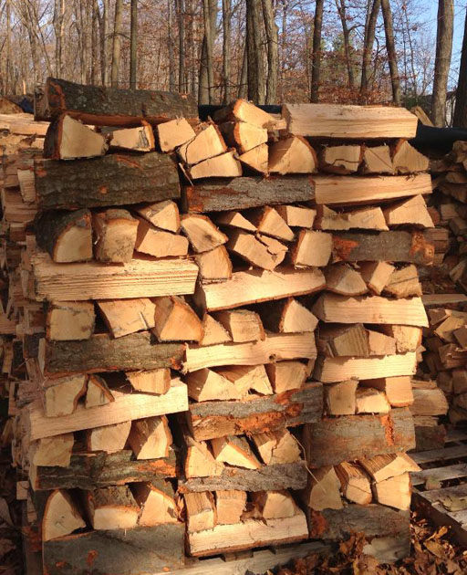 The smell of winter: Which firewood burns best indoors
