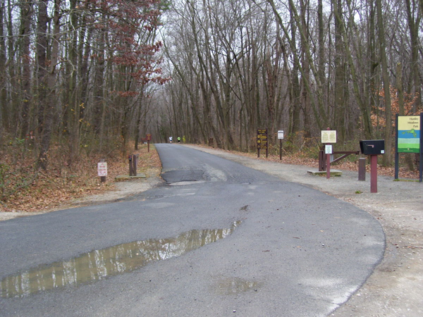 Police: Jogger assaulted, robbed by women in Fairfax County park