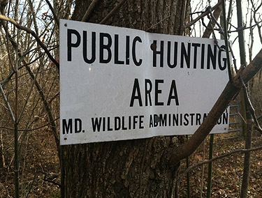 Bow hunter shoots self, could face gun charges