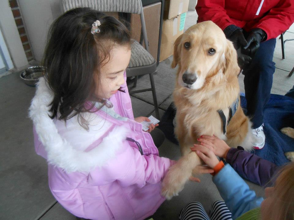 Comfort dogs visit Newtown, Conn. community
