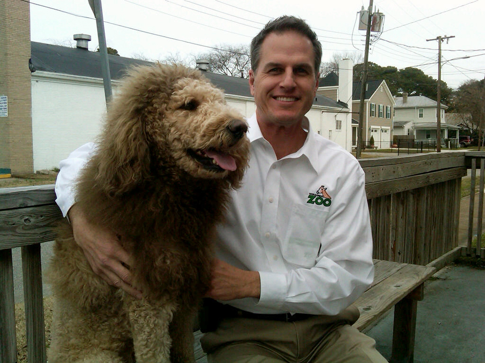 Labradoodle passes for ‘lab-a-lion’ in Va. city (VIDEO)