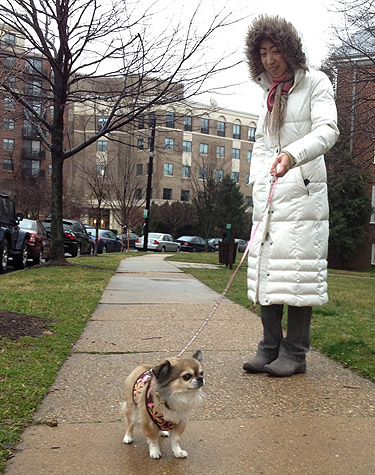 Protect your pets in cold weather