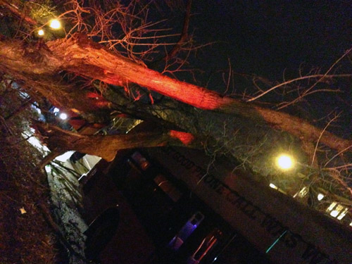 Tree falls on bus in Northwest D.C.