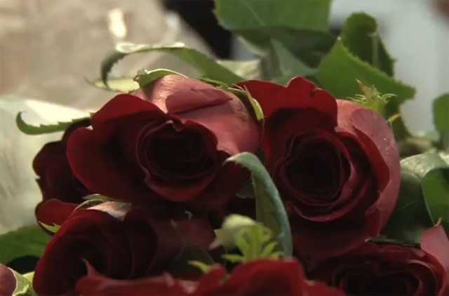 Internet florists cut into business of mom-and-pop shops (VIDEO)