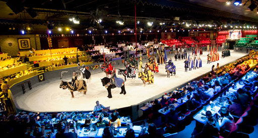 Behind the helmet: Meet the cast of Medieval Times (VIDEO)