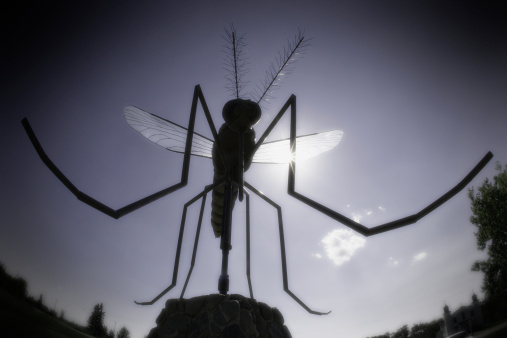 Deet proves less effective in warding off mosquitos