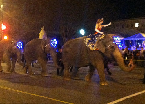 Annual elephant parade hits D.C.