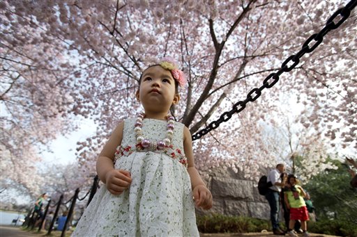 7 top spring flower festivals around the world