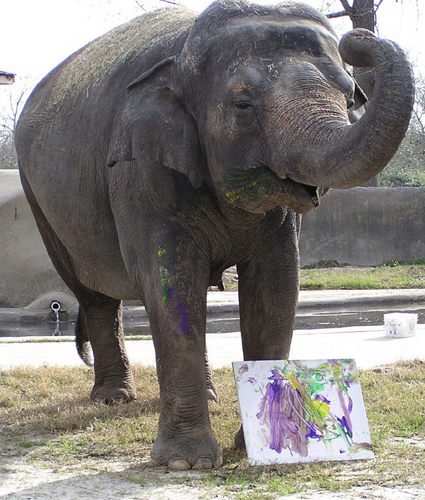Lonely elephant to join herd at National Zoo in DC