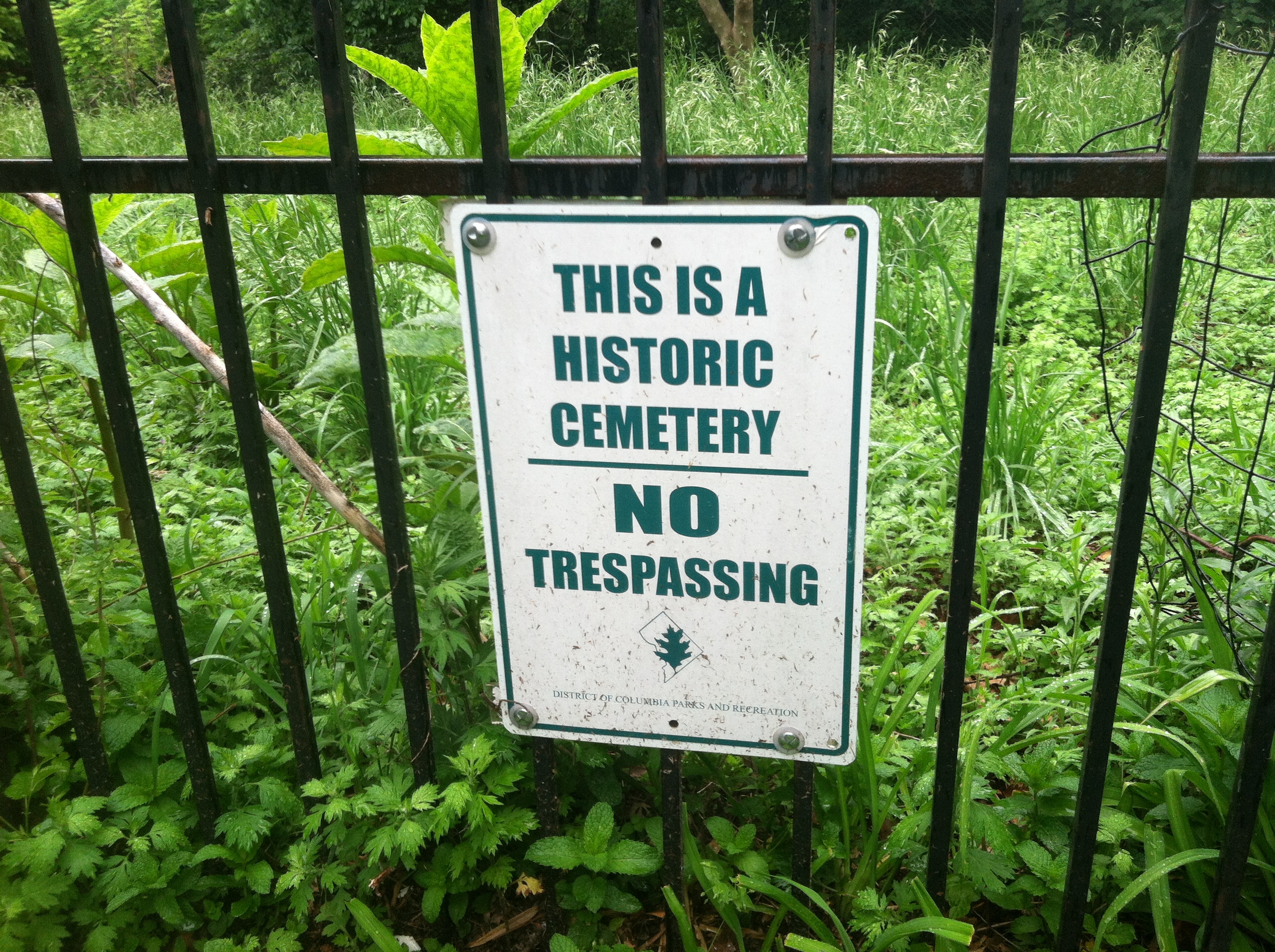 D.C. archaeologists advocate for historic cemetery