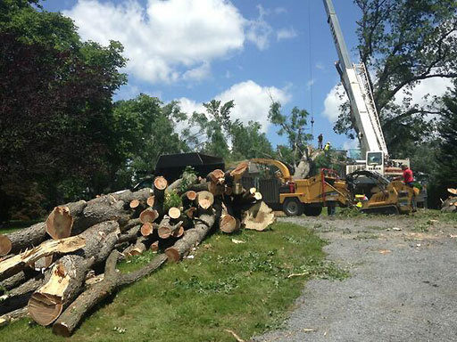 Picking up the pieces after storm rips through region
