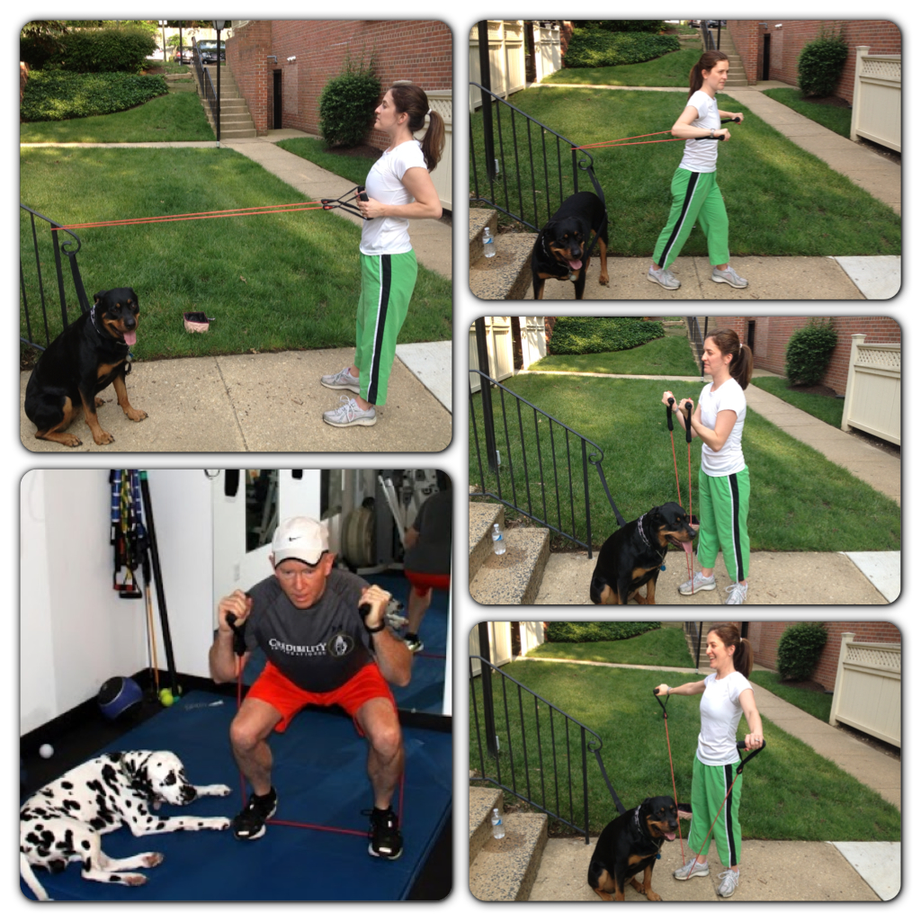 Tips for working out with your dog