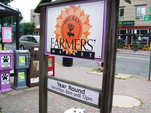 WTOP’s Top 10: The best farmers market