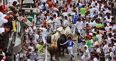 Forget about Spain: Run with the bulls in Va.