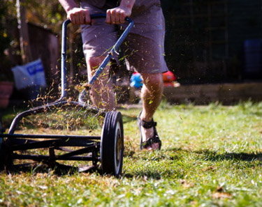 Checklist for cool-season lawns and how to avoid common, outdoor fall mistakes