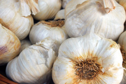 garlic500.jpg