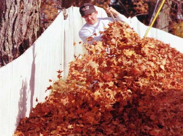What you need to know about local leaf collection