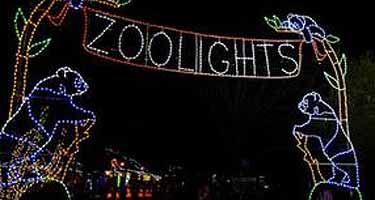 ZooLights is back for the holiday season