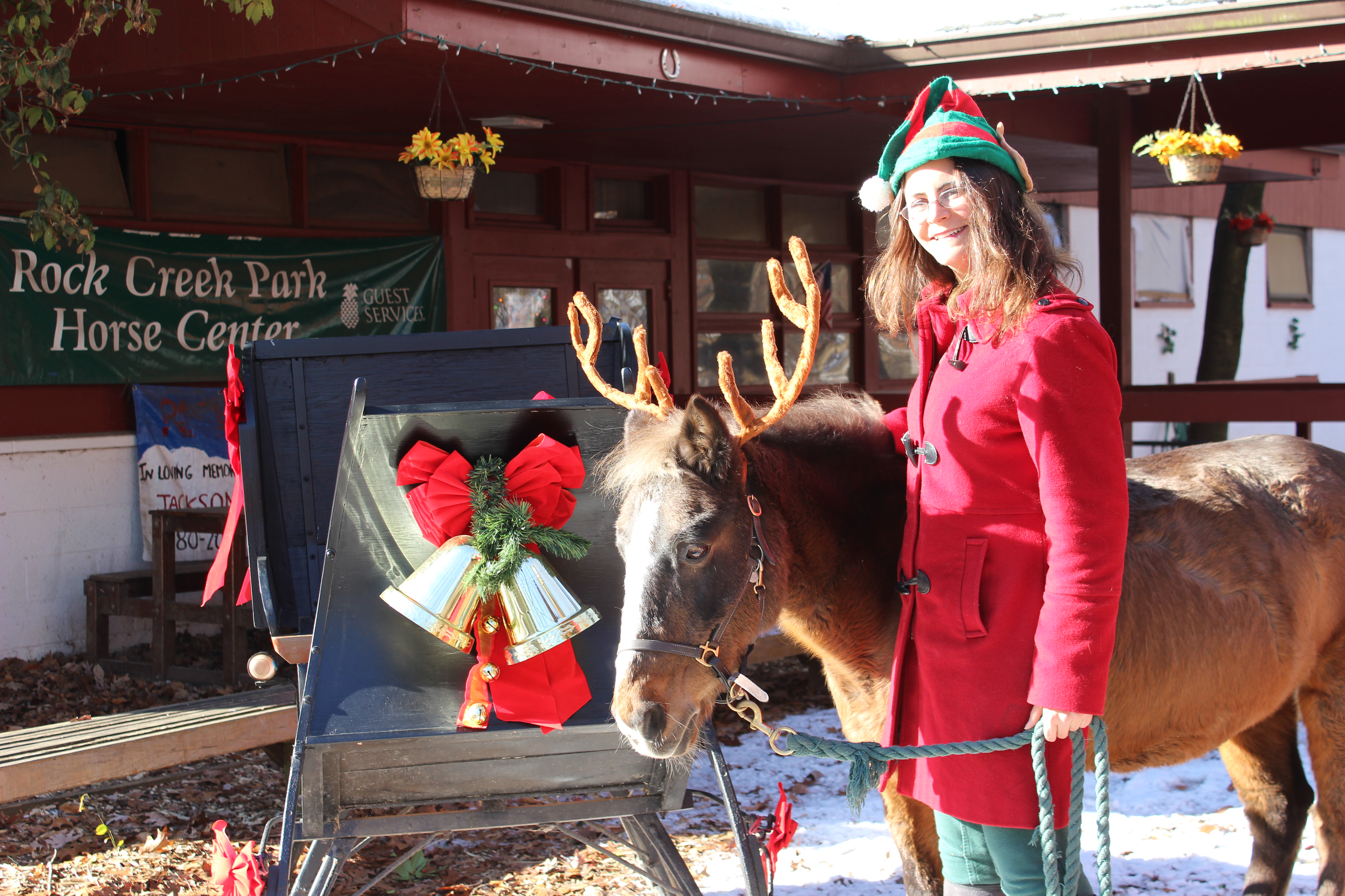 The Rock Creek Park Reindeer Rides
