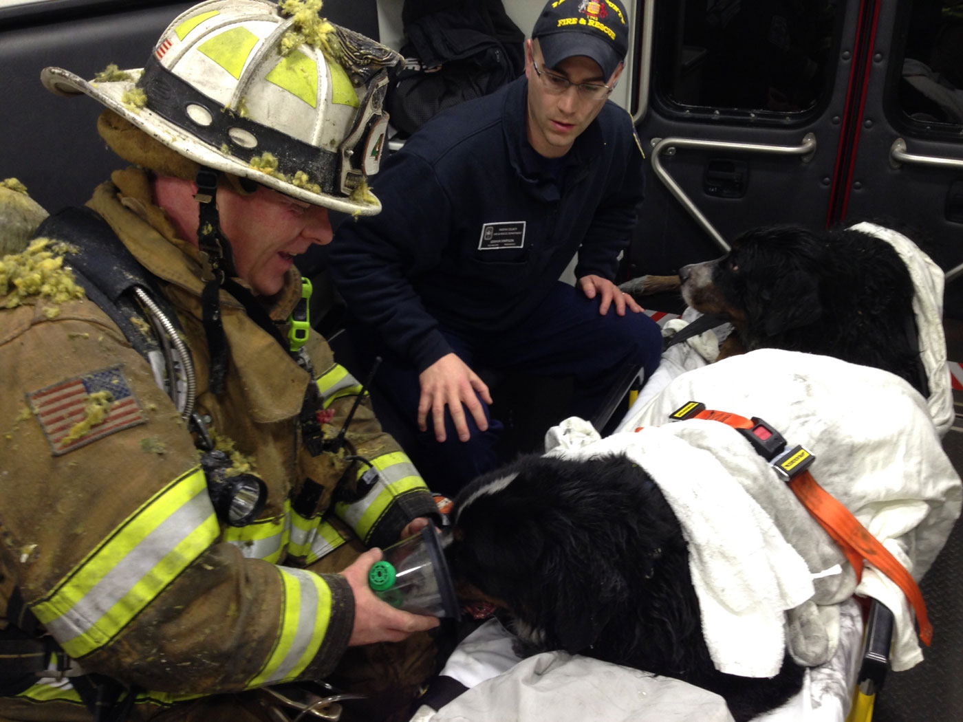 Va. firefighters raise money for burned fire dogs