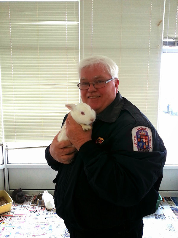 41 bunnies need homes after fire