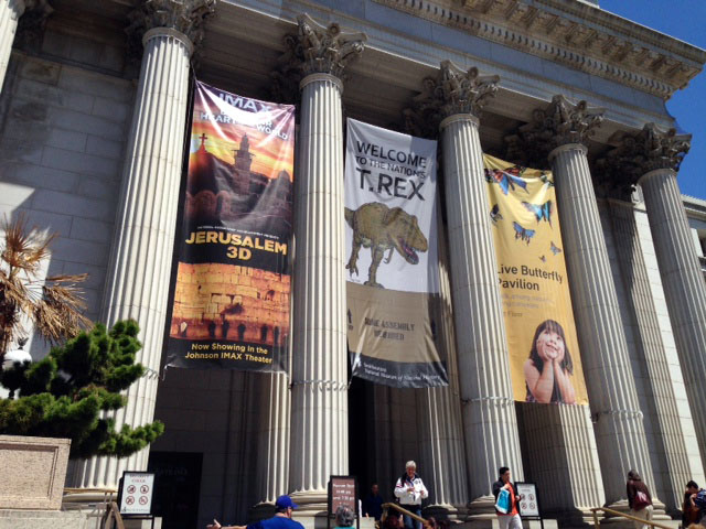 National History Museum’s Dinosaur Hall closing for major renovation