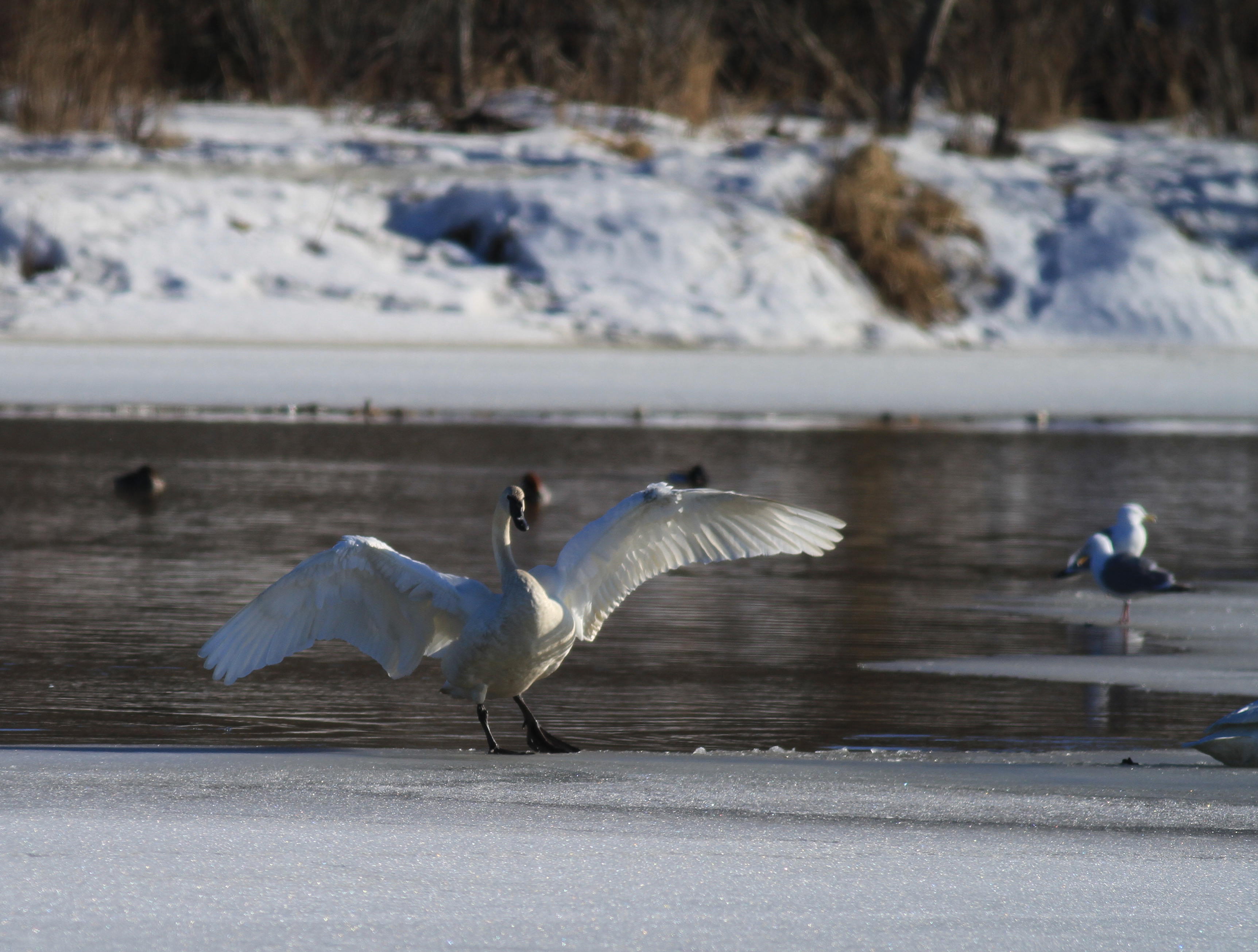 The 10 Cleanest U.S. Cities