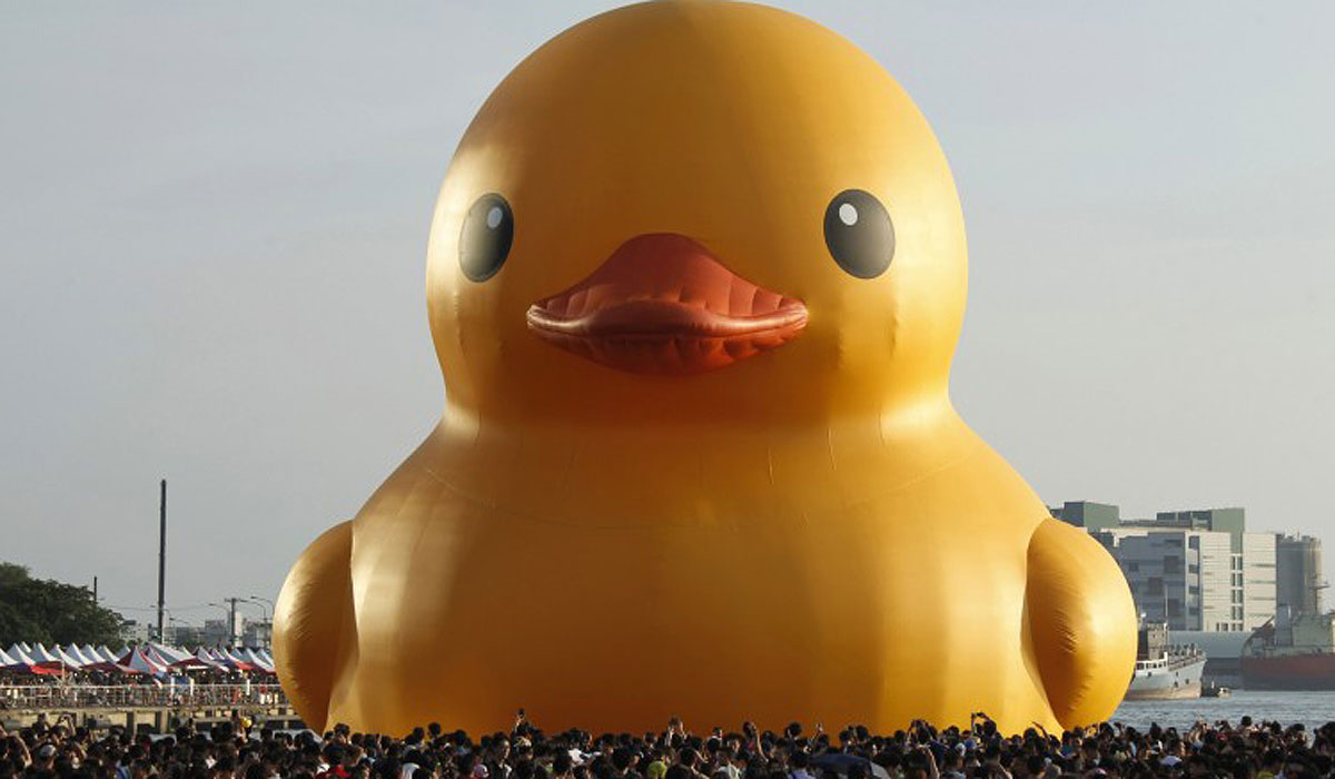 giant duck animal