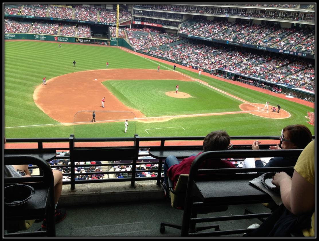 What fans really look at during a baseball game