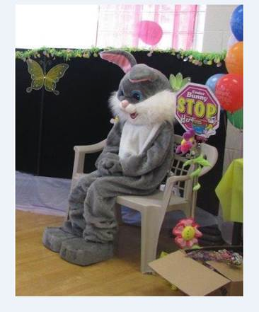 Police investigate theft of bunny costume