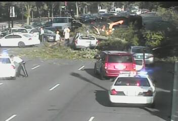 Tree falls on car in D.C., causes traffic delays (Photos)