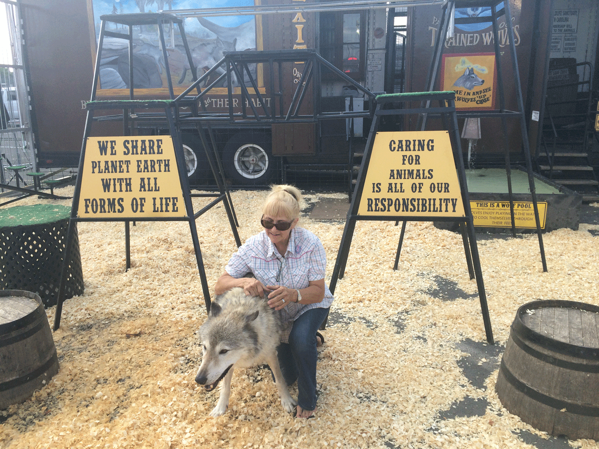 D.C. fair has animals, old fashioned fun through July 6